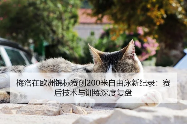 梅洛在欧洲锦标赛创200米自由泳新纪录：赛后技术与训练深度复盘